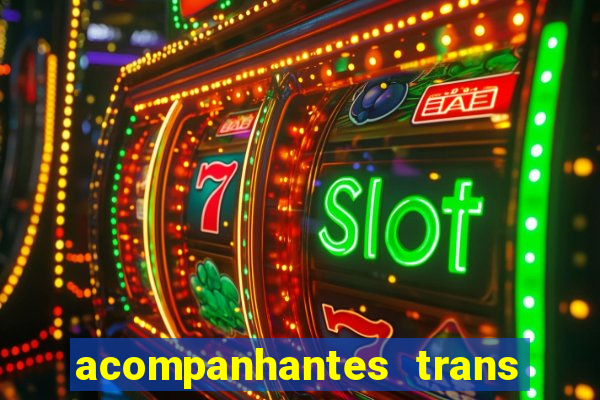 acompanhantes trans porto seguro